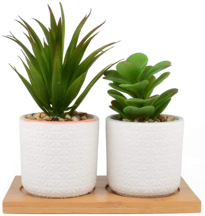 Set of 2 Artificial Succulent Plants, Fake Plants in White Ceramic Pots with Bamboo Tray, 6.5” Tall